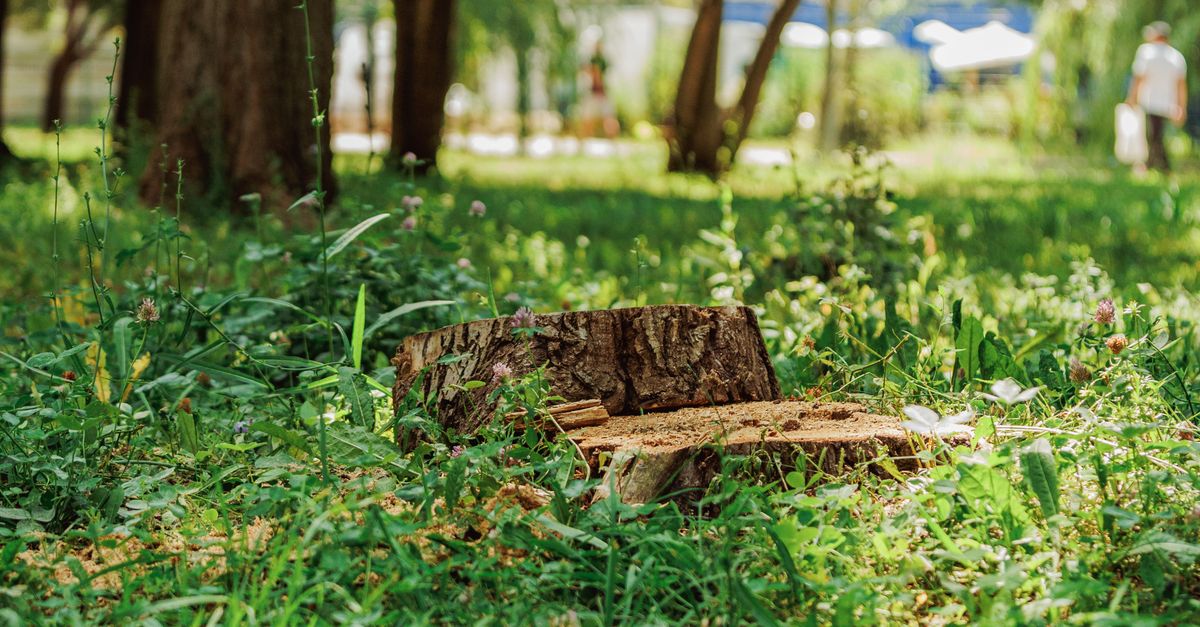 Best Practices for Using Chemical Removers in Cairns