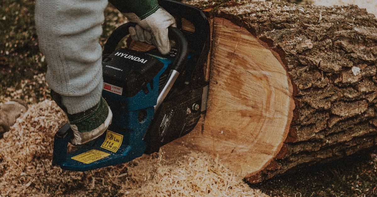 Choosing the Right Gloves for Stump Removal Work