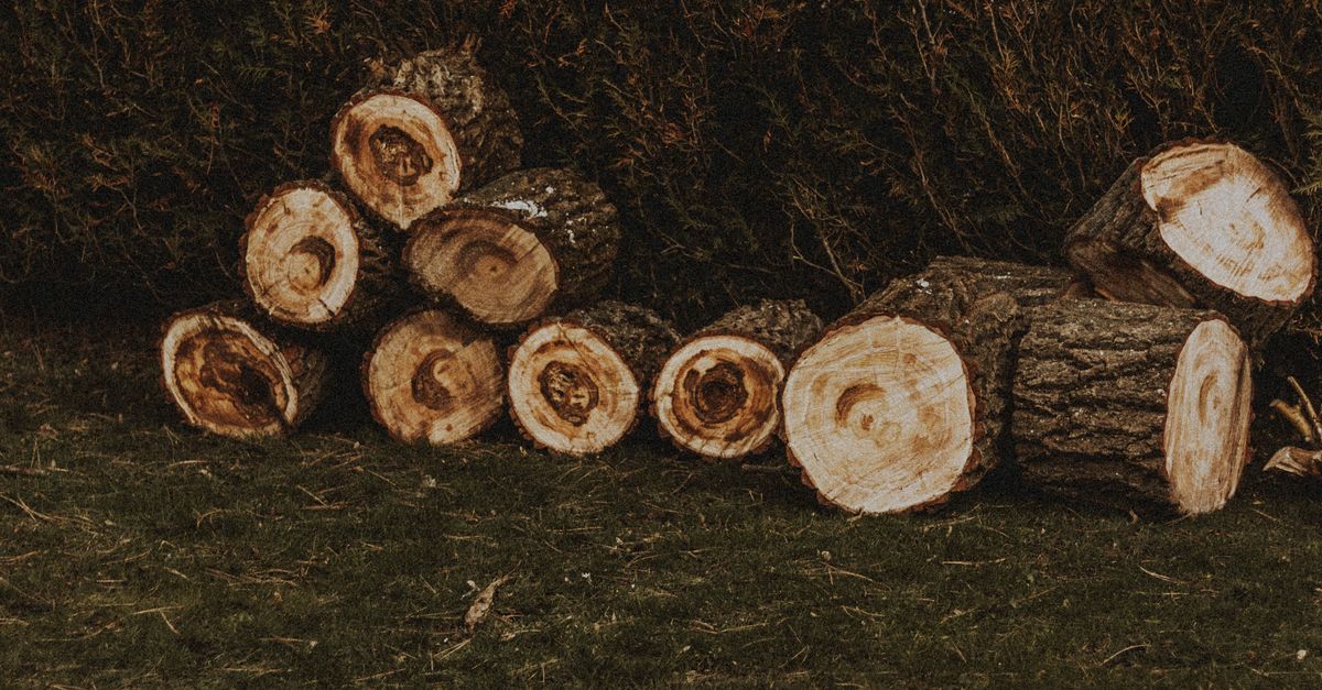 Hand Tool Techniques for Efficient Stump Grinding