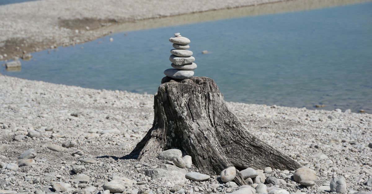Top Protective Equipment for Stump Removal Tasks